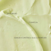 Beauty of Joseon Matte Sun Stick Mugwort + Camelia SPF 50