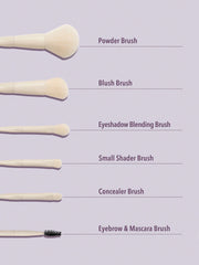 sheglam pro core brush kit 6pcs