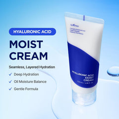Isntree Hyaluronic Acid Moist Cream 100ml