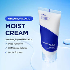 Isntree Hyaluronic Acid Moist Cream 100ml