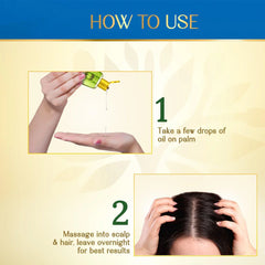 Herbsindia Rosemary and 7 Seeds Hair Oil 280ml