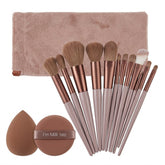 Shein 13 pcs makeup brush set + 2 brown makeup sponges