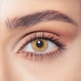 bella one day color contact lenses