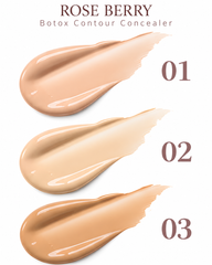 Rose Berry Perfectly Real Contour Concealer 20 ml