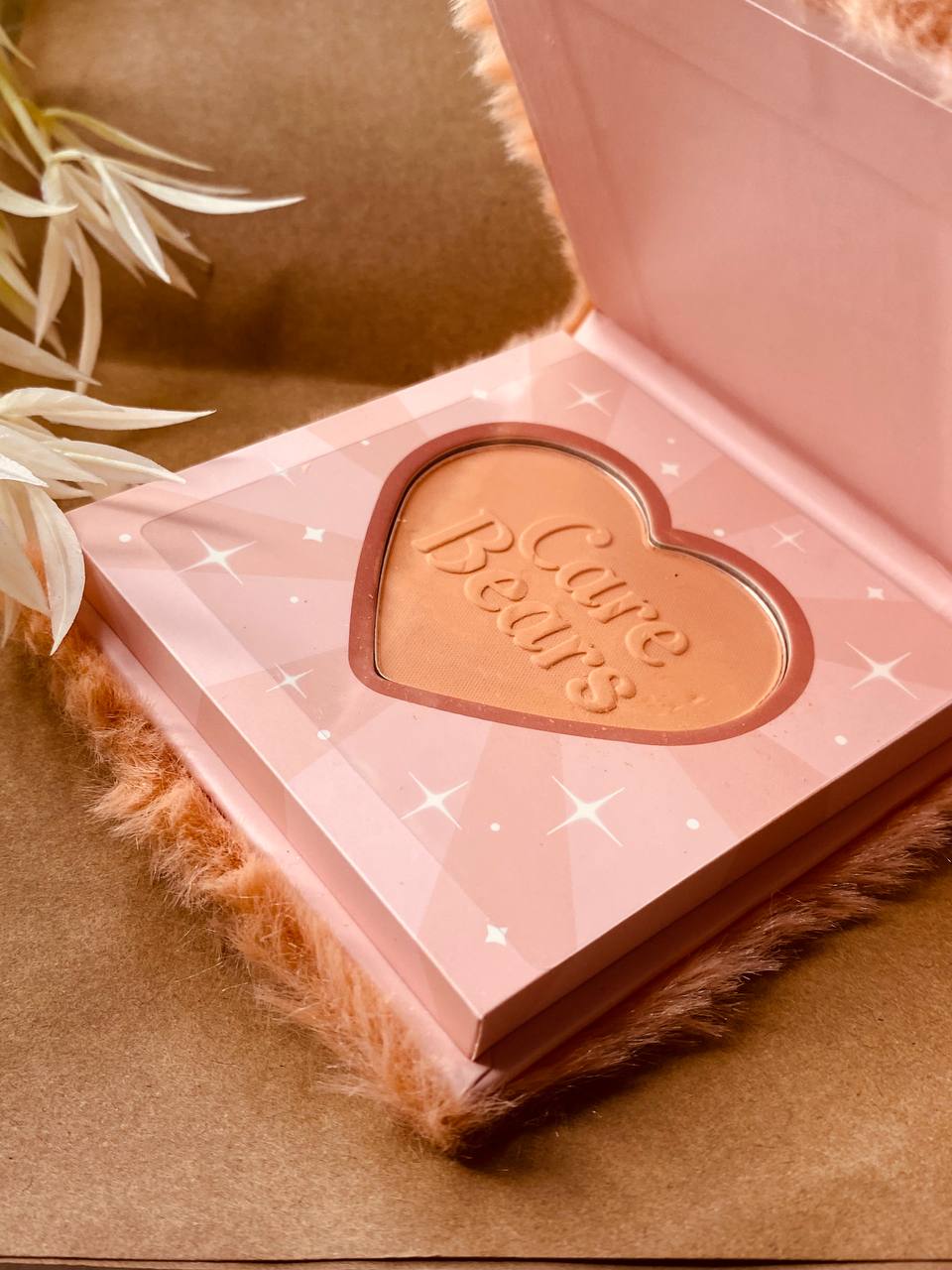 SHEGLAM Cuddle Time Blush Care Bears