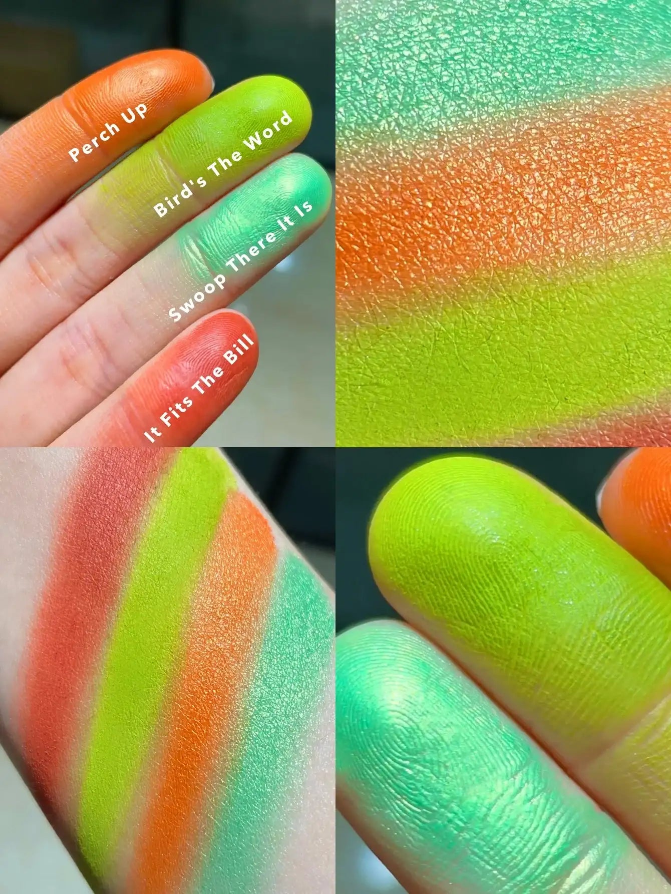 Sheglam forever feather palette 12color