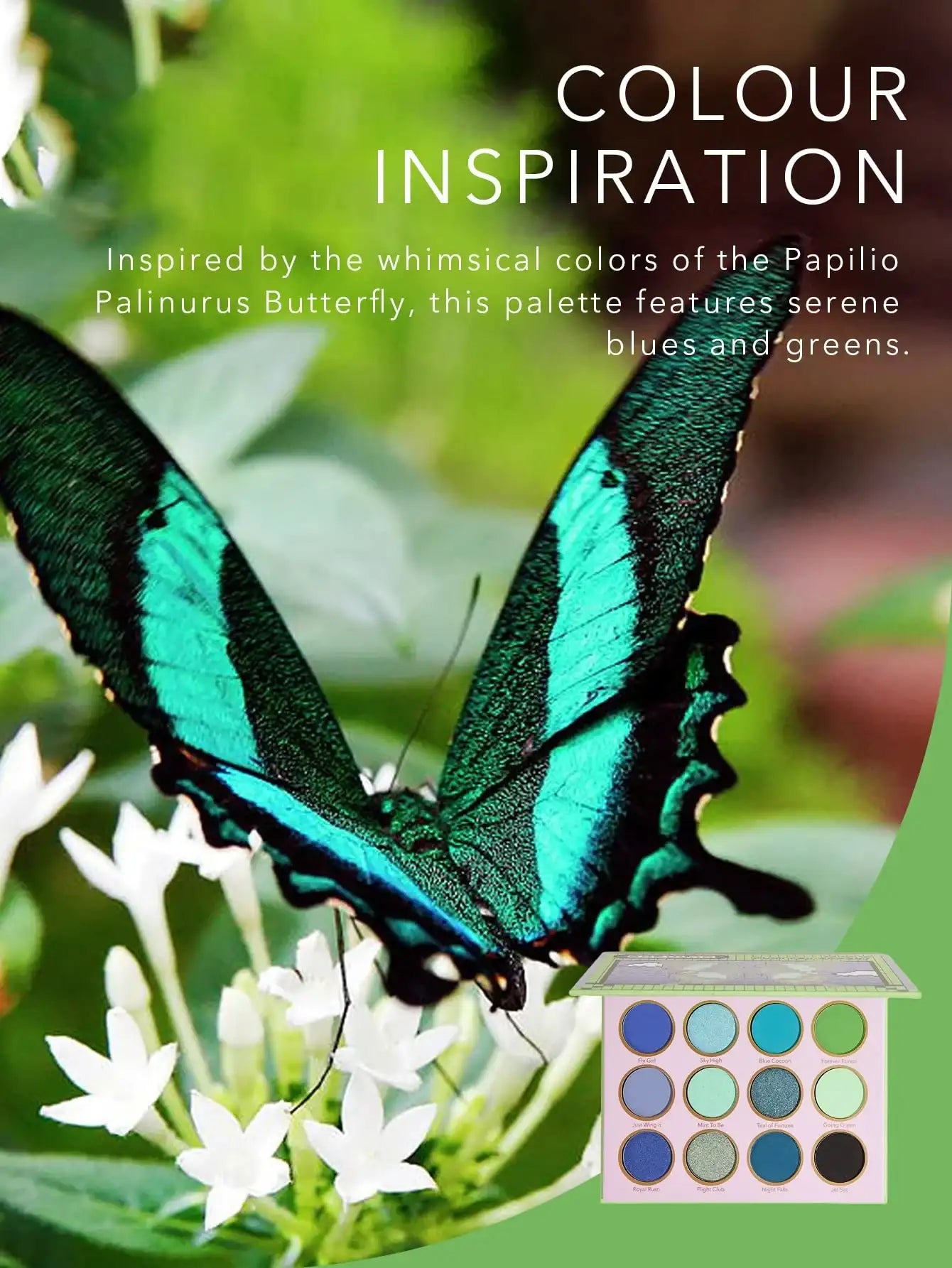 Sheglam flutter effect palette 12 color