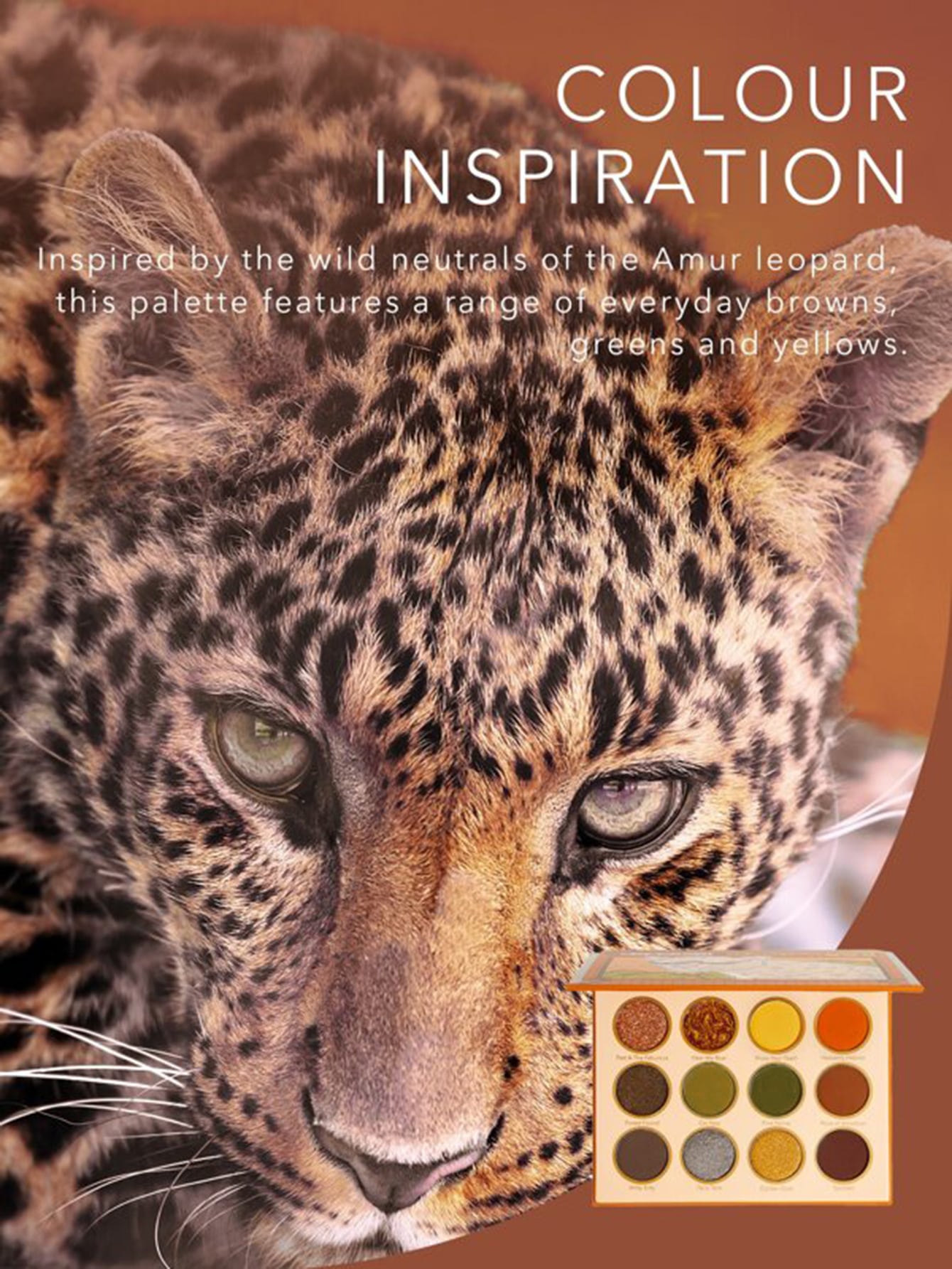 Sheglam Viva La Leopard Eyeshadow Palette