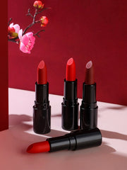Daishiao Lipstick 4pcs Long Lasting Waterproof Lipstick Set