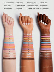 sheglam share your care palette 12color
