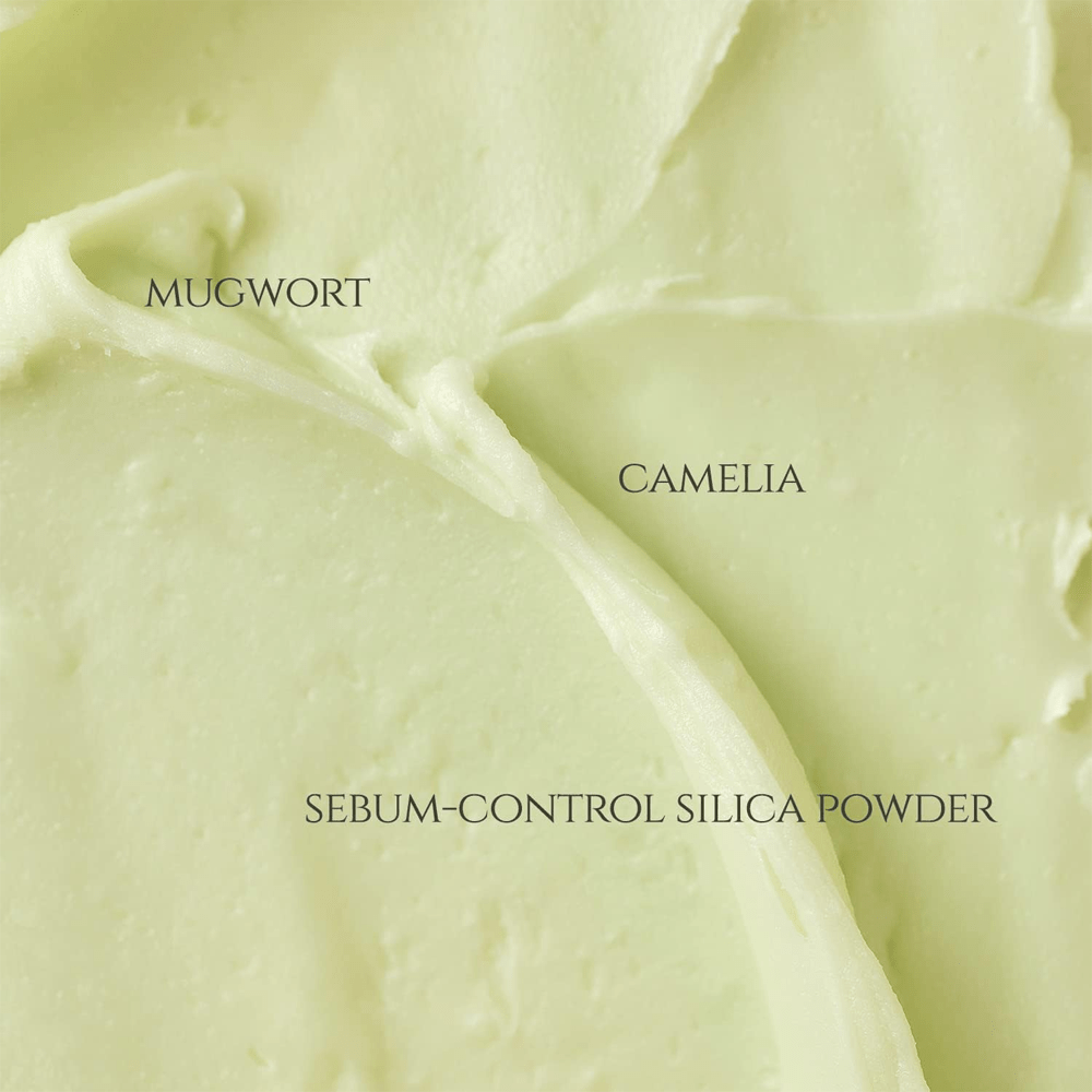 Beauty of Joseon Matte Sun Stick Mugwort + Camelia SPF 50