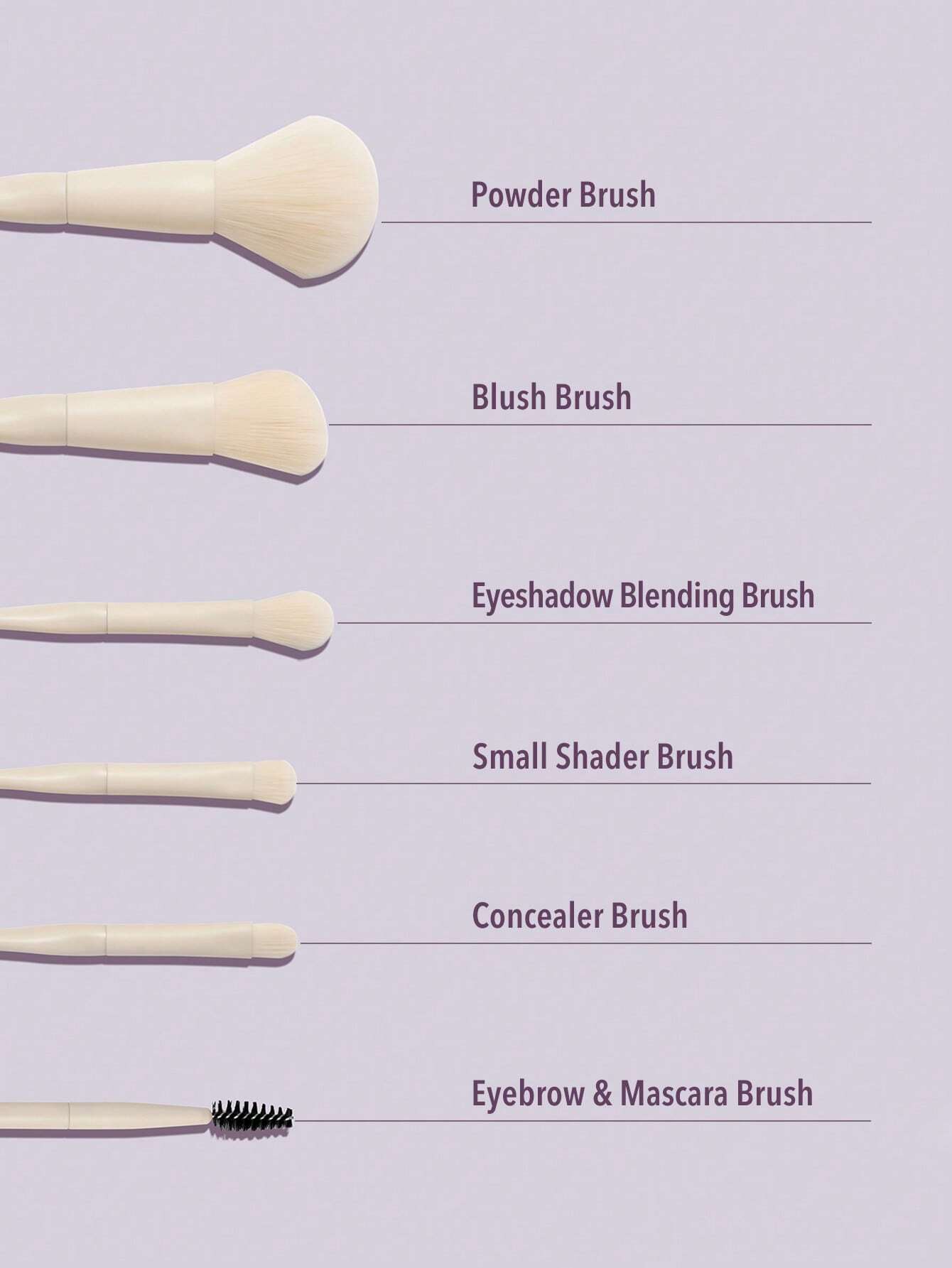 sheglam pro core brush kit 6pcs