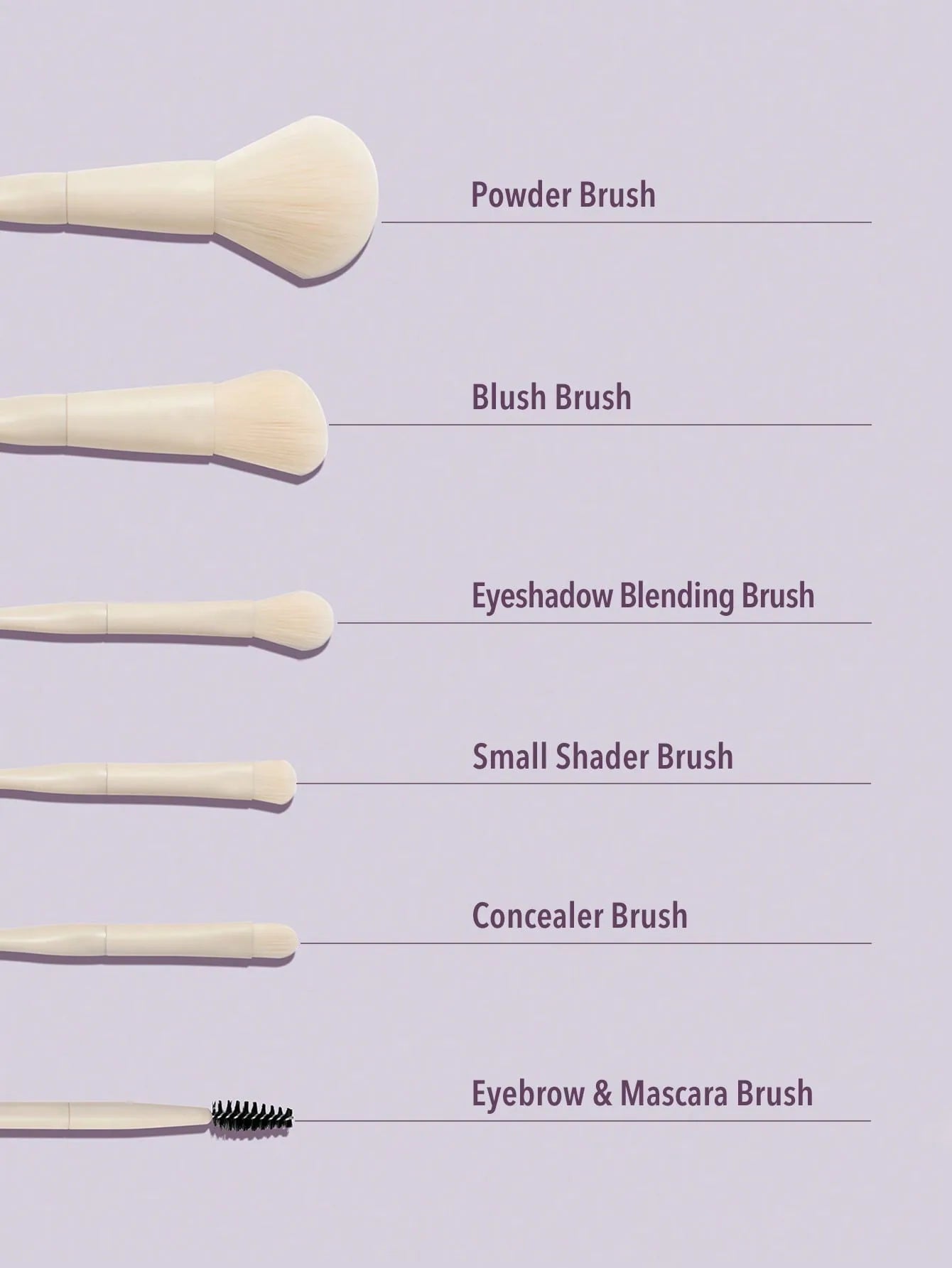 sheglam pro core brush kit 6pcs