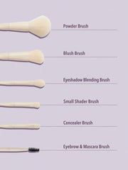 sheglam pro core brush kit 6pcs