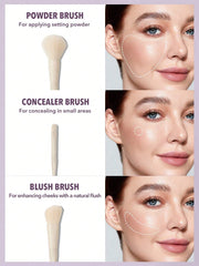 sheglam pro core brush kit 6pcs
