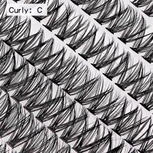 Shein 30 Pieces Fishbone Style Lash Holder 200 Clusters With Glue+Tweezers