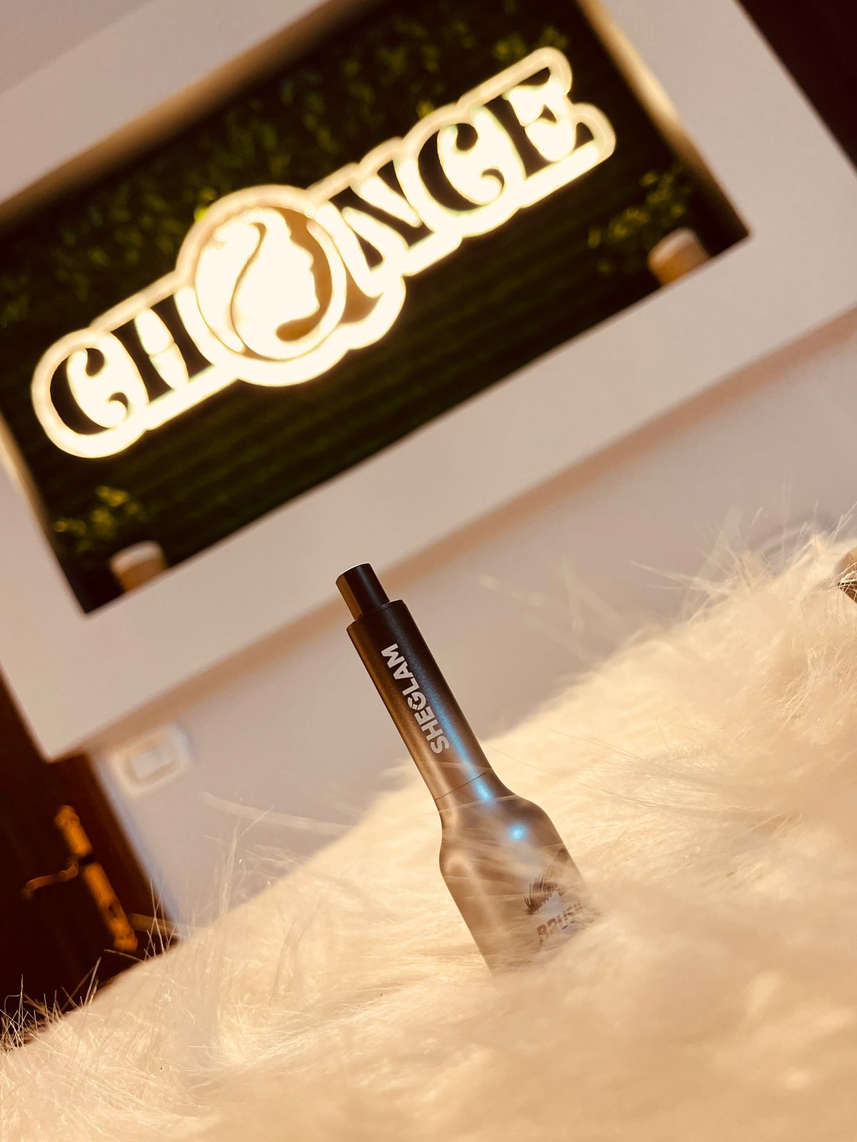 SHEGLAM Brow-Fection Angled Brush & Dip