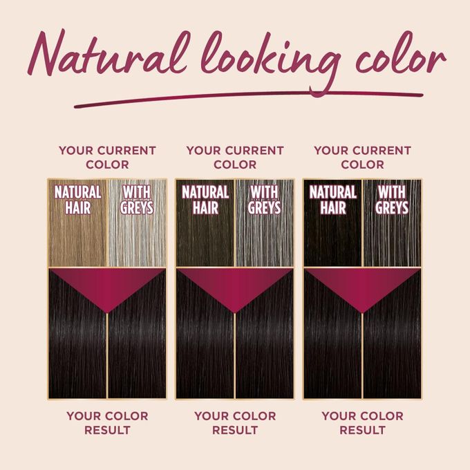 Palette Intensive Hair Color Cream 4-60 Lustrous Medium Brown