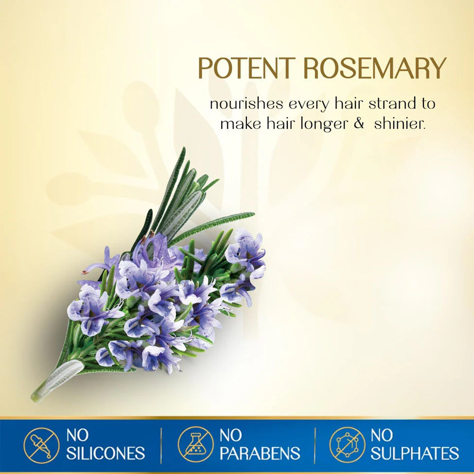 Herbsindia Rosemary and 7 Seeds Hair Oil 280ml