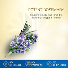 Herbsindia Rosemary and 7 Seeds Hair Oil 280ml