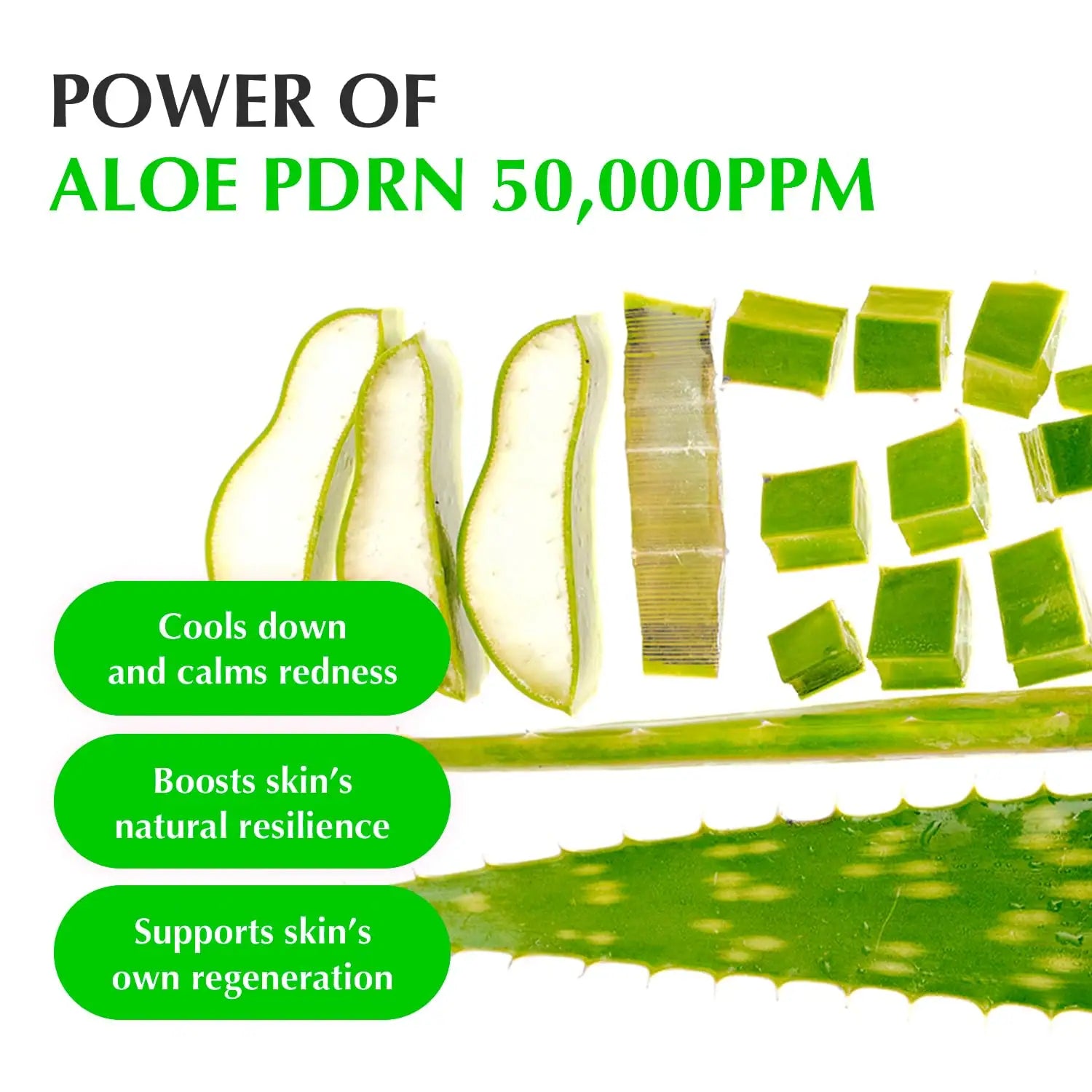 Eqqualberry aloe pdrn calming serum 30ml