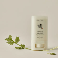 Beauty of Joseon Matte Sun Stick Mugwort + Camelia SPF 50