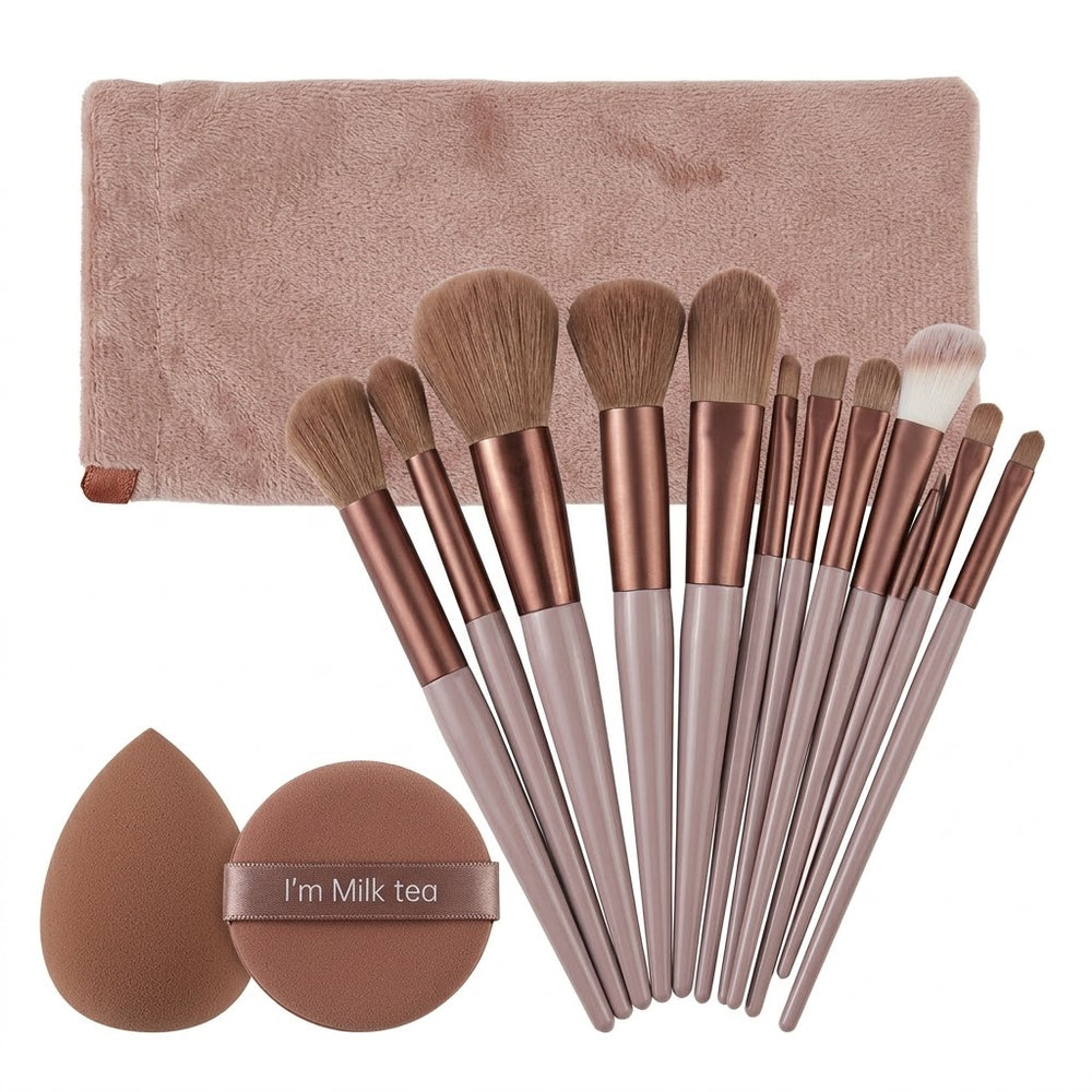 Shein 13 pcs makeup brush set + 2 brown makeup sponges