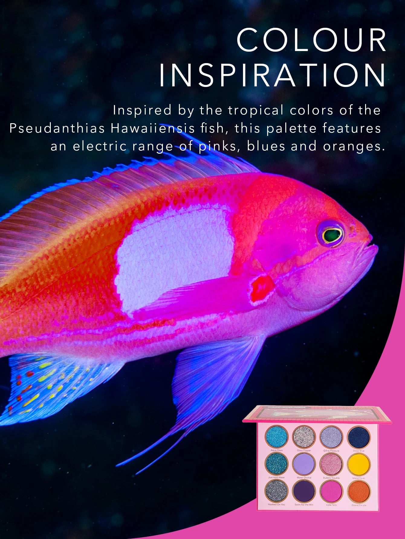 Sheglam Fin Within Eyeshadow Palette