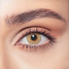 bella one day color contact lenses