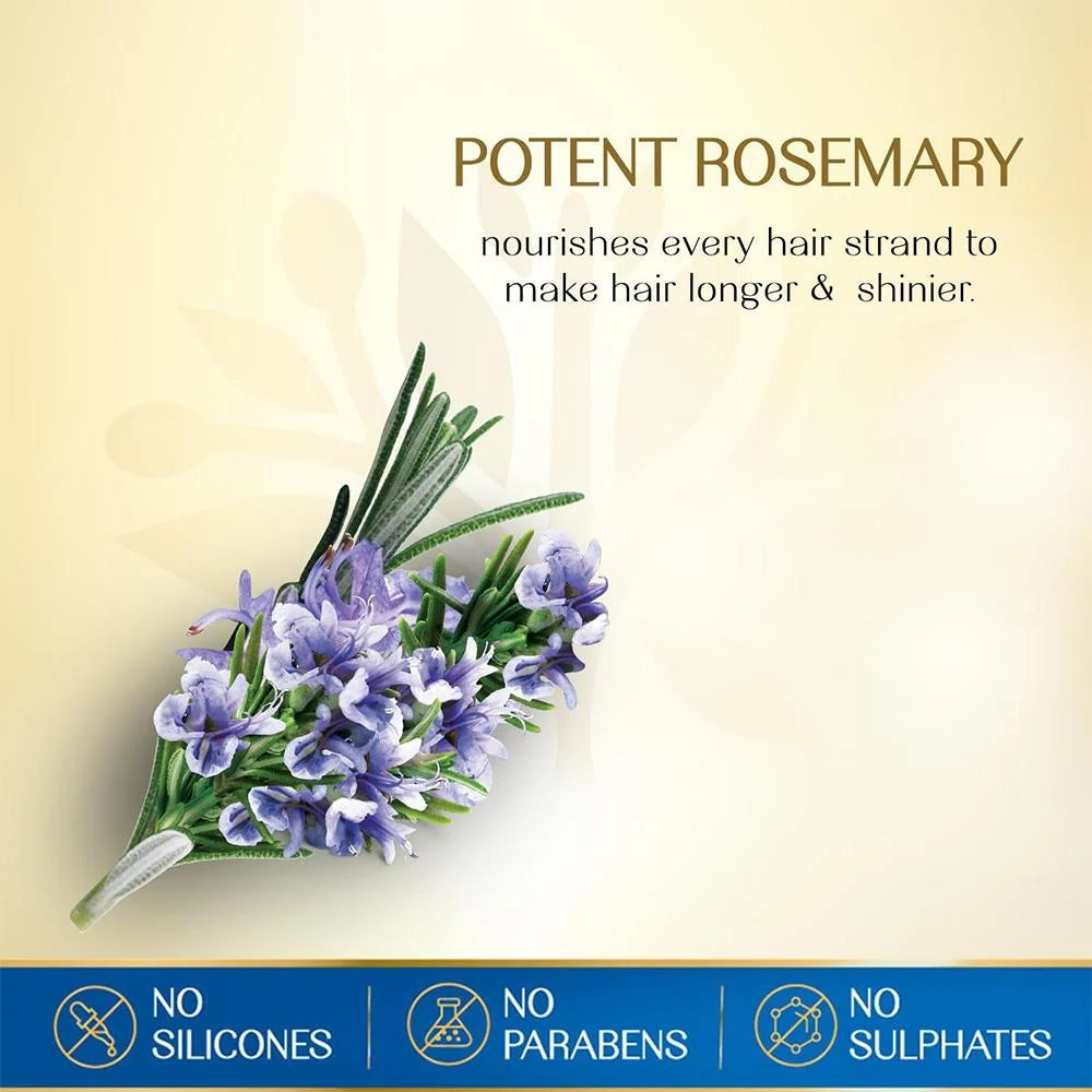 Herbsindia Rosemary 7 Seeds Hair Oil With Nourish Tube 180ml