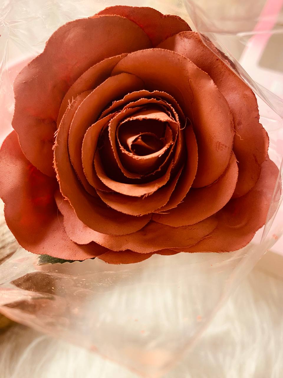 SHEGLAM Pink Ribbon Rose Blush