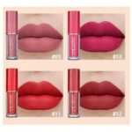 Shein Handaiyan Lip Gloss Set 12 Colors Matte