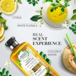 Herbal Essences Biorenew Golden Moringa Oil Shampoo 400 ml