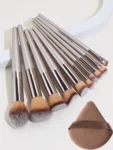 Shein 10 Piece Makeup Brush Set + Powder Puff