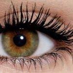 Maybelline New York The Colossal Big Shot Washable Mascara Black 9.7 ml