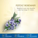 Herbsindia Rosemary and 7 Seeds Hair Oil 280ml