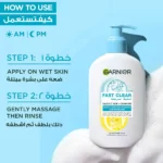 Garnier Fast Clear Gentle Cleanser 250ml