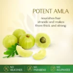 Herbsindia Amla 7 Seed Hair Oil – 180 ml