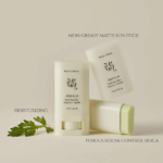 Beauty of Joseon Matte Sun Stick Mugwort + Camelia SPF 50