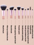 Shein Mini Makeup Brush Set 10 Pieces Pink