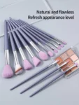 Shein 13 pcs makeup brush set + brush + 2 sponges