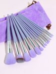 Shein 13 pcs makeup brush set + brush + 2 sponges