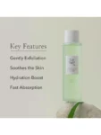 Beauty of Joseon Green Plum Refreshing Toner AHA BHA 150ml