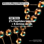 L Oreal Professionnel Absolut Repair Molecular Mask for Damaged Hair 250 ml