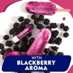 Labello Lip Care Moisturizing Blackberry Shine Lip Balm 4.8g