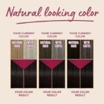 Palette Intensive Hair Color Cream 4-60 Lustrous Medium Brown
