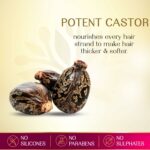 Herbsindia Castor and 7 Seeds Hair Oil With Nourish Tube 180ml
