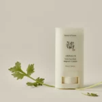 Beauty of Joseon Matte Sun Stick Mugwort + Camelia SPF 50