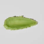 Bobana Lip Balm With Vitamin C kiwi Flavor