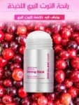 sheglam hair Locked In Glossy Shine Strong Styling Stick 30G